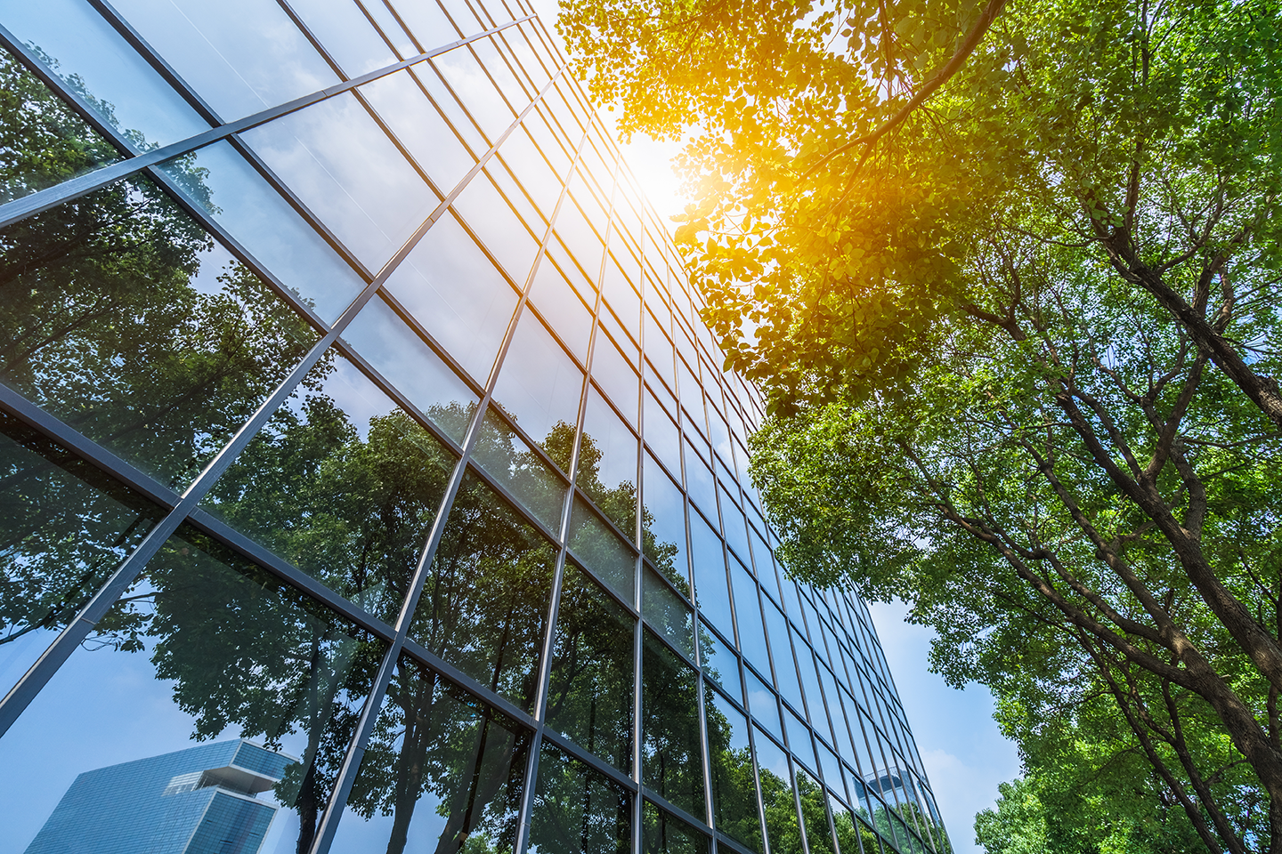 Glass office building with reflective windows, trees reflected, and sunlight glare at the top corner.
